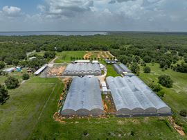 Polk County Citrus Nursery