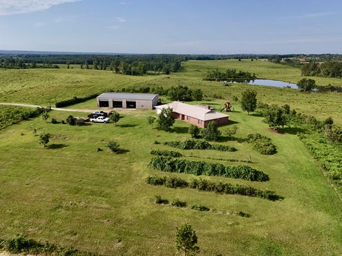 10 Shy Homestead