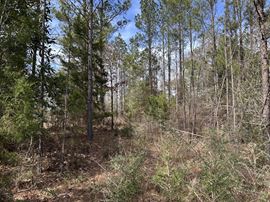 Garland Belmont Tract