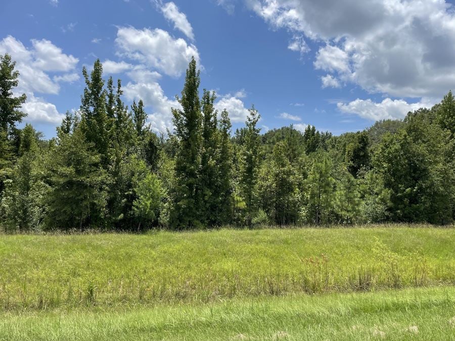 33.5 Canton Parkway Parcel