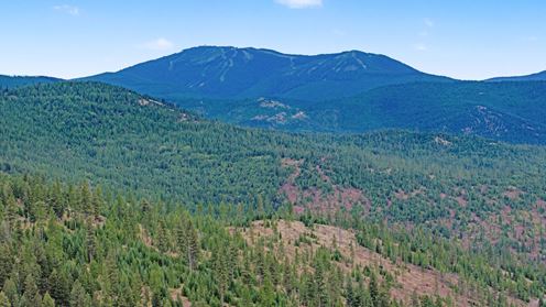 40 Wooded Acres near Kalispell: Classic Montana Forty
