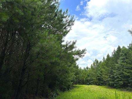 VacantLand space for Sale at  0 Denver Road in Dadeville