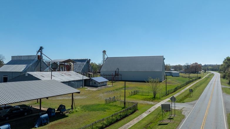 Georgia Peanut Buying Point