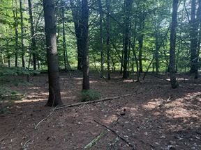375 Ormsbee Rd