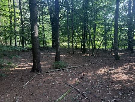 VacantLand space for Sale at 375 Ormsbee Rd in Porter Corners