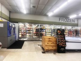 Laingsburg Town Center Investment Opp