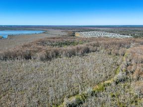 Leesburg 80-Acre Recreational Tract