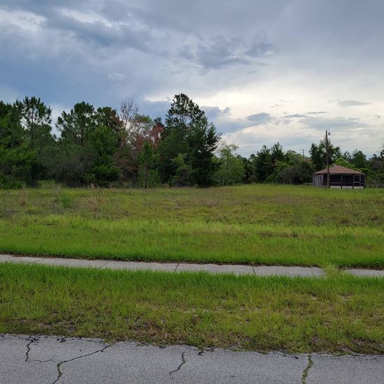 Level Commercial Lot for Sale in Deltona
