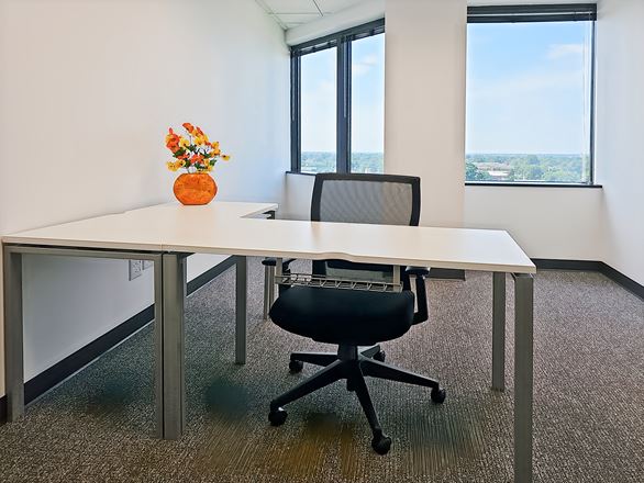 Regus - Buffalo Grove - E Lake Cook Rd