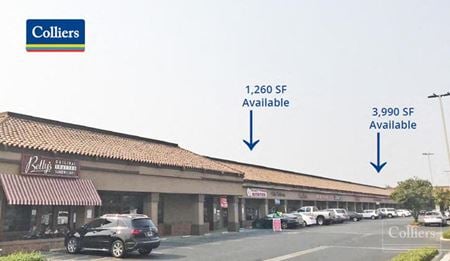 Retail space for Rent at 6735 N. First Street Fresno in Fresno