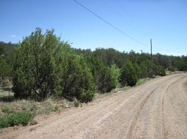 152 Jesse James Rd