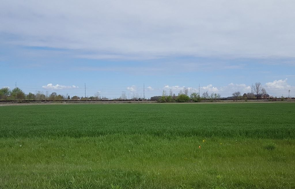 Delta Industrial Park - Lot 5