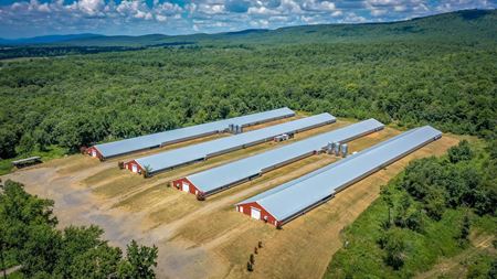 Photo of commercial space at 154 Bald Eagle Lane in Mena