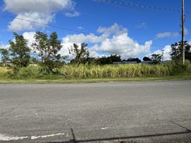 Las Piedras Industrial Park - Lots 1 & 2 - For Sale