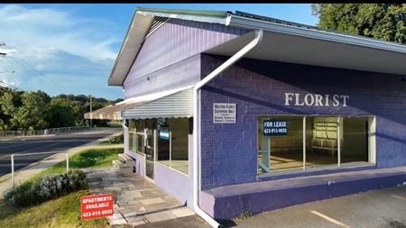 Retail space for Rent at 1006 Gibson Mill Rd in Kingsport