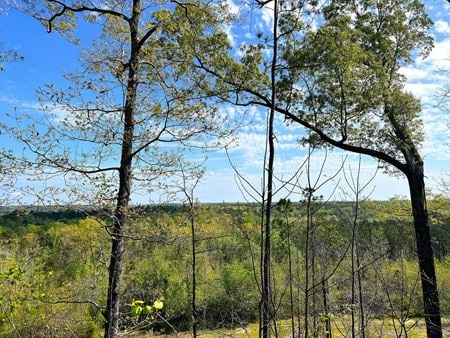 VacantLand space for Sale at County Road 56 in Marbury
