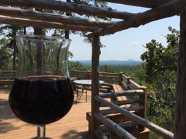 Turnkey Wedding Venue, Winery & Short-Term Rental Opportunity - An Enchanting Evening