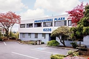 Professional Plaza