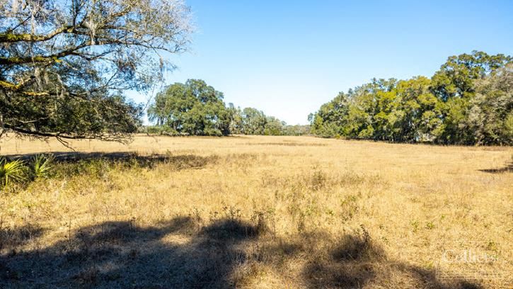 High Springs Vacant Land