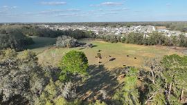 Zephyrhills Home and Residential Development Acreage