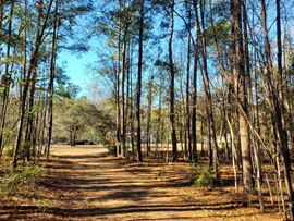 25 Acres for Sale in Meggett