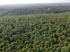 East Chapel Hill - 105 Acres Planned for 163 Future Lots