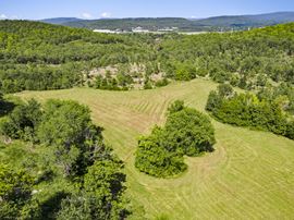 Letitia Lane - Greenland Acreage