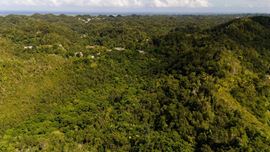 Arecibo Vacant Land @ Arrozal Ward - For Sale