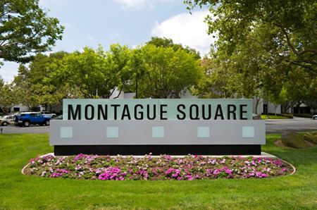 Montague Square - San Jose