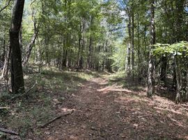 Beatrice 20 AC Tract