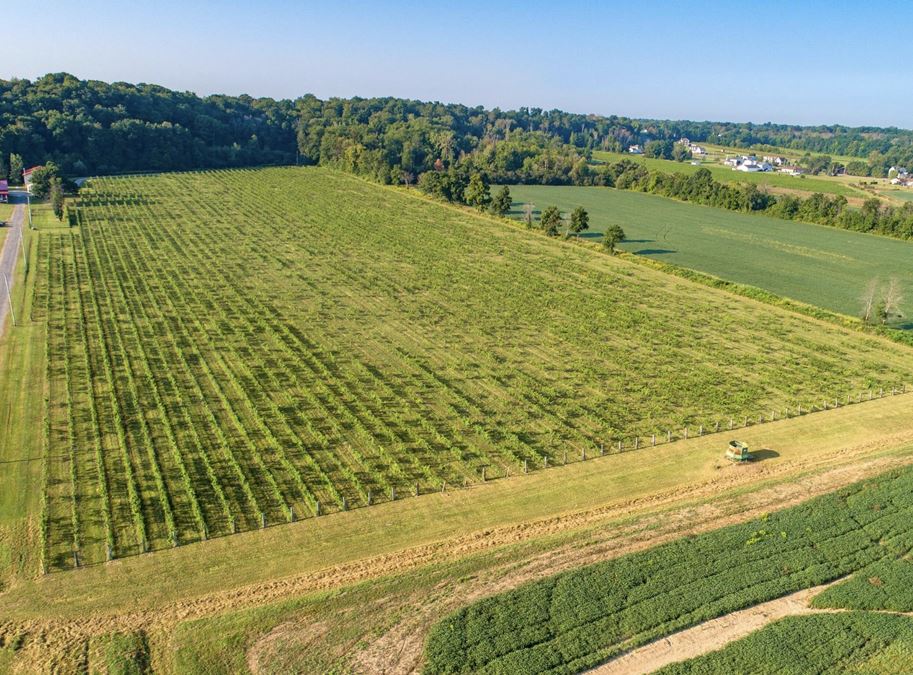 Niagara Wine Trail Investment Land