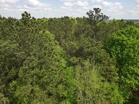 200 Acres - County Line Church Rd