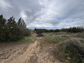 Pearblossom Hwy