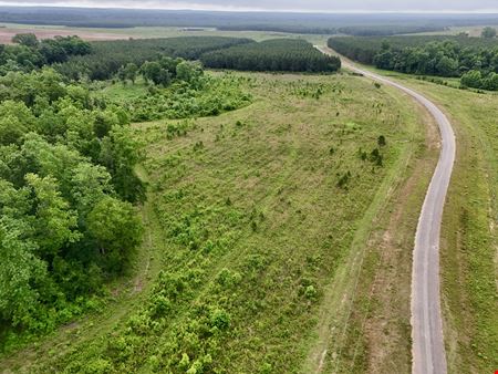 VacantLand space for Sale at 0 County Road 75  in Clopton