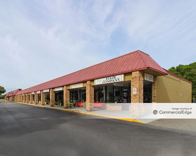 Palm Lake Shopping Center - 32672 US Highway 19 North