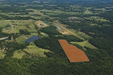 45 Acres East Hale Lane Plantersville, Texas