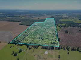 101± Acre Timber Investment with Slash Pine, Hardwoods & Hunting Near Graceville