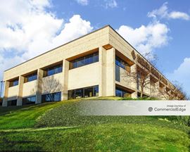 Stone Ridge I