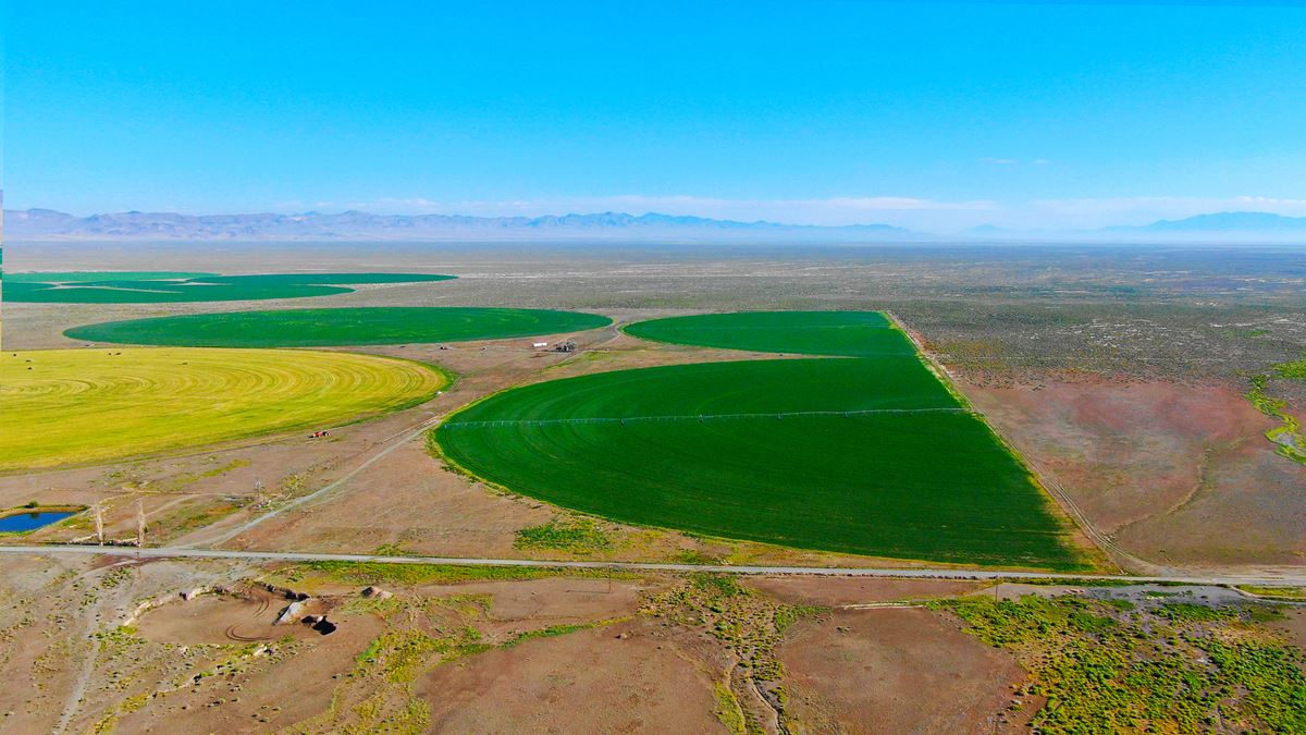 Nye County NV Alfalfa Farm with Pivots, Water Rights