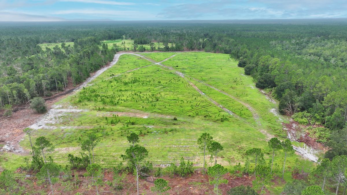 Flagler County Land Investment and Recreational Tract