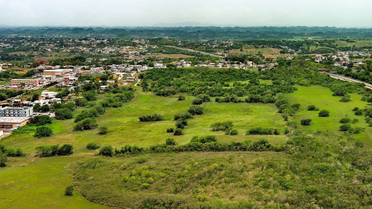 Prime Land Off Jose De Diego Expressway - FOR SALE