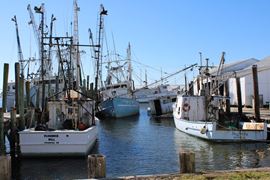 Fulchers Seafood