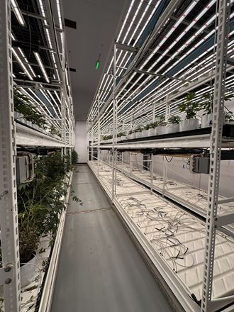 Burton - Former Operating/Turnkey Cultivation and Processing Facility