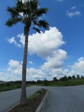Meadowcrest Residential Mixed Use