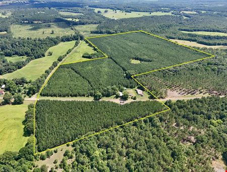 VacantLand space for Sale at 1063 County Road 67 in Clopton