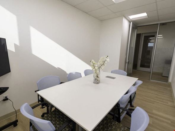 Muze Global Group - Muze Office Las Vegas