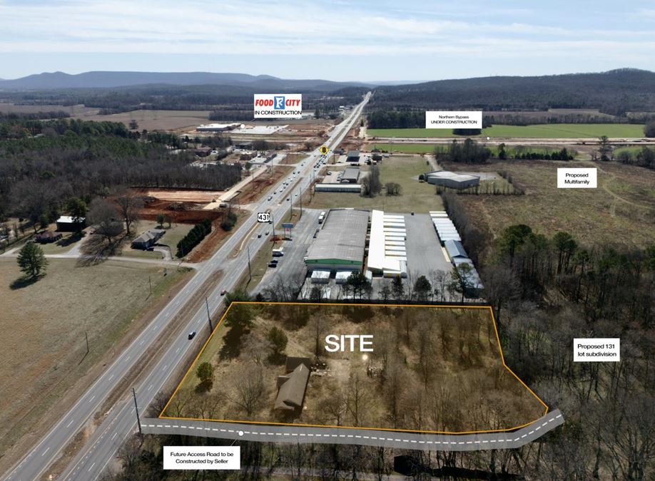 Hwy 231 at Bob Wade