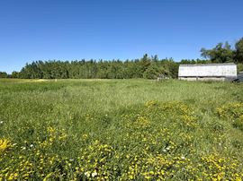 10900 Townline Rd