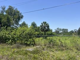 2.62 Acre Palm River - 23 Unit Townhome Planned Development