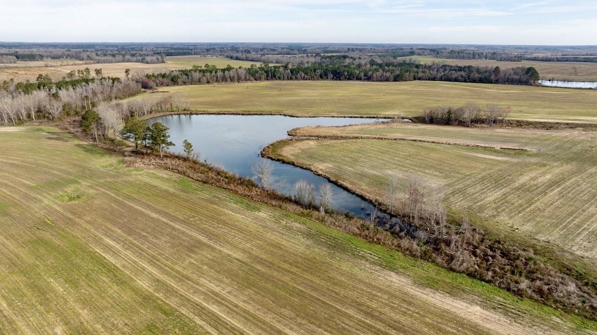 Bleckley County Farm